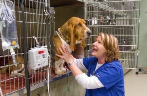 Tech takes care of patient in Shor-Line cage